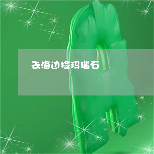 去海边捡玛瑙石/2023040476049 去海边捡玛瑙石/2023040476049