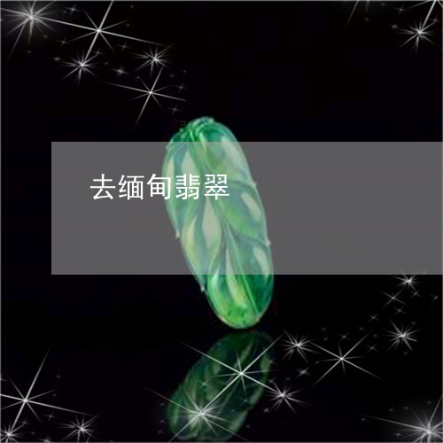 去缅甸翡翠/2023071595048