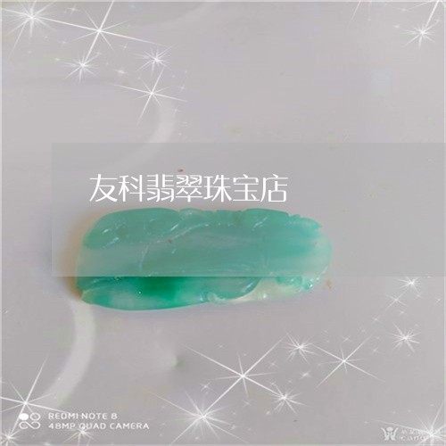 友科翡翠珠宝店/2023040440413 友科翡翠珠宝店/2023040440413