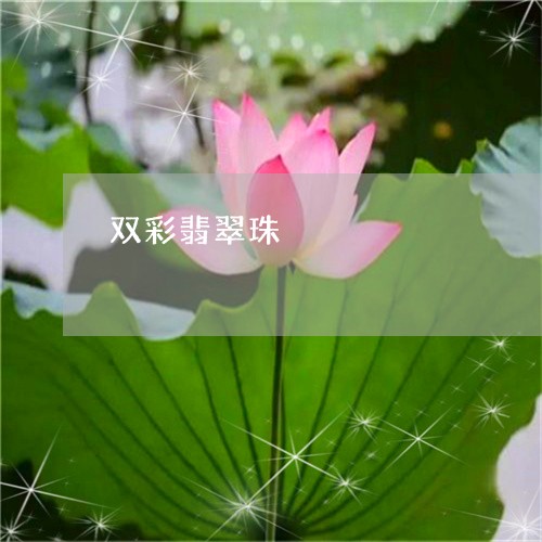 双彩翡翠珠/2023071528370