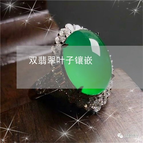 双翡翠叶子镶嵌/2023040423624