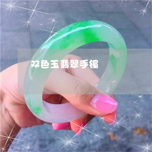 双色玉翡翠手镯/2023040427460 双色玉翡翠手镯/2023040427460