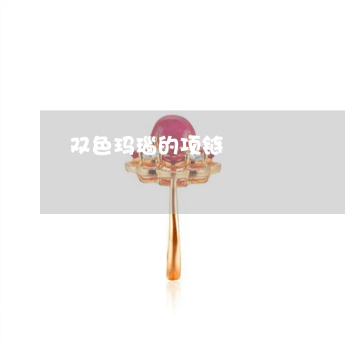 双色玛瑙的项链/2023040493794 双色玛瑙的项链/2023040493794