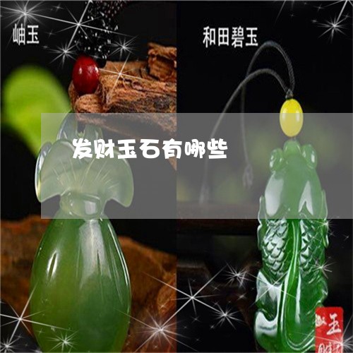 发财玉石有哪些/2023040451585 发财玉石有哪些/2023040451585
