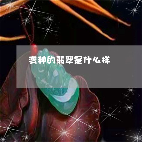 变种的翡翠是什么样/2023042119250 变种的翡翠是什么样/2023042119250