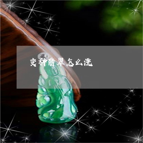 变种翡翠怎么洗/2023040407270