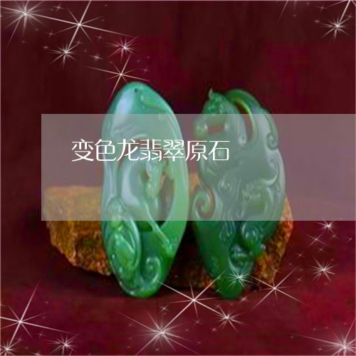 变色龙翡翠原石/2023040449792