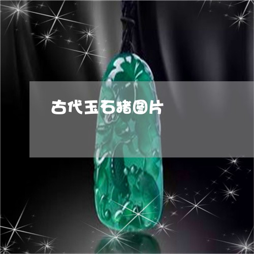 古代玉石猪图片/2023040420272