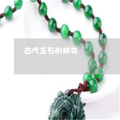 古代玉石的种类/2023040455038 古代玉石的种类/2023040455038