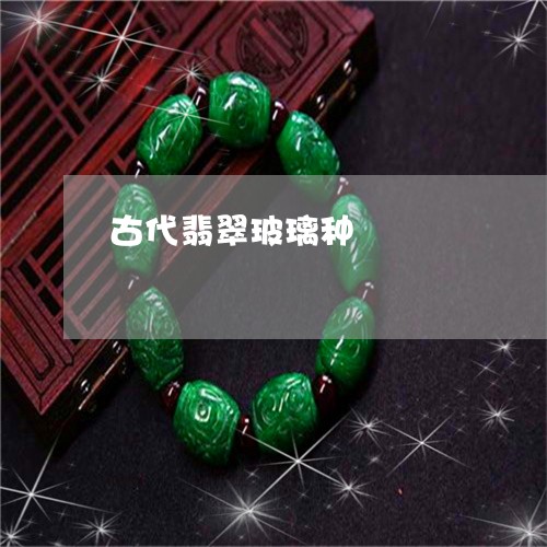 古代翡翠玻璃种/2023040441590