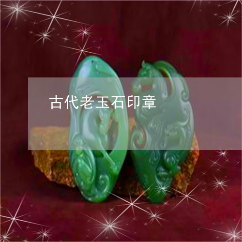 古代老玉石印章/2023040427172 古代老玉石印章/2023040427172