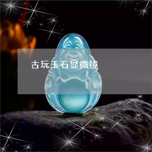古玩玉石显微镜/2023040481472 古玩玉石显微镜/2023040481472