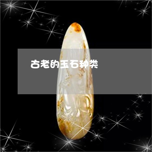 古老的玉石种类/2023040427683 古老的玉石种类/2023040427683