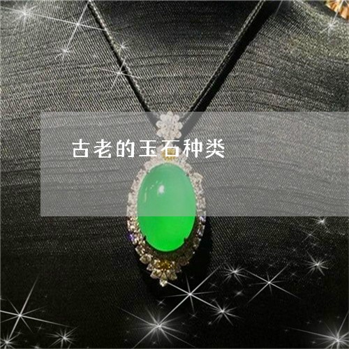 古老的玉石种类/2023040492605 古老的玉石种类/2023040492605