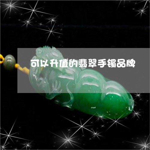 可以升值的翡翠手镯品牌/2023061826250