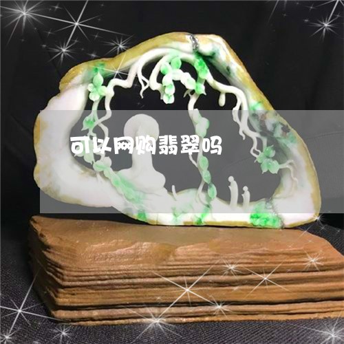 可以网购翡翠吗/2023040433716 可以网购翡翠吗/2023040433716