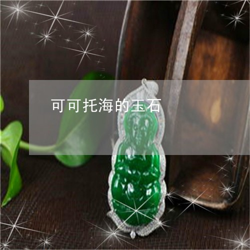可可托海的玉石/2023040444737