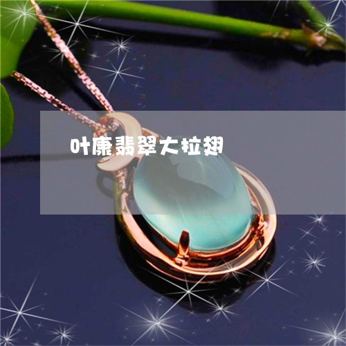 叶康翡翠大拉翅/2023040484725 叶康翡翠大拉翅/2023040484725