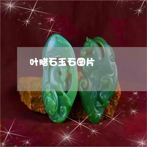 叶腊石玉石图片/2023040489503 叶腊石玉石图片/2023040489503