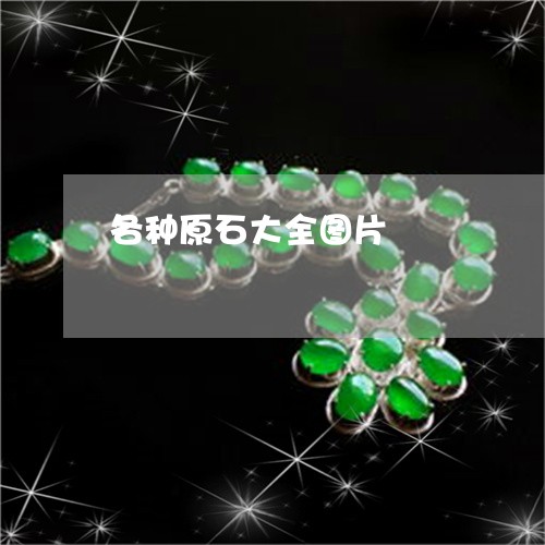 各种原石大全图片/2023020164516 各种原石大全图片/2023020164516