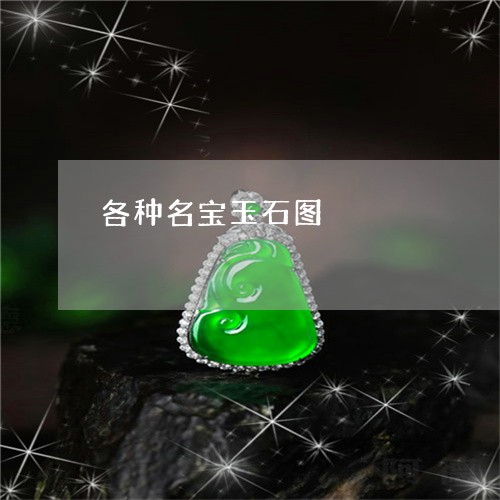 各种名宝玉石图/2023040414036
