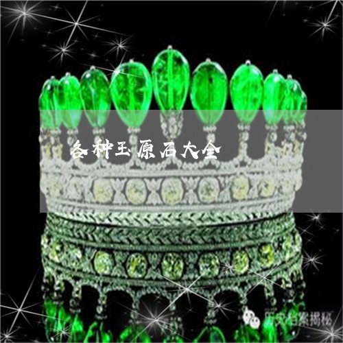 各种玉原石大全/2023040492848 各种玉原石大全/2023040492848