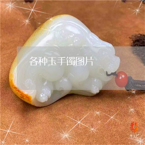 各种玉手镯图片/2023040448490