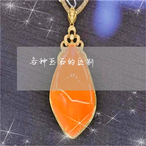 各种玉石的区别/2023040484735 各种玉石的区别/2023040484735