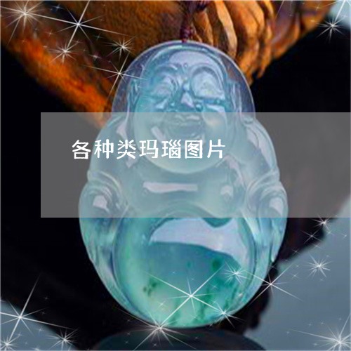 各种类玛瑙图片/2023040451489