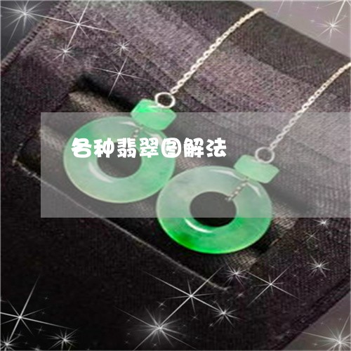 各种翡翠图解法/2023040473716