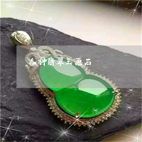 各种翡翠玉原石/2023040477059