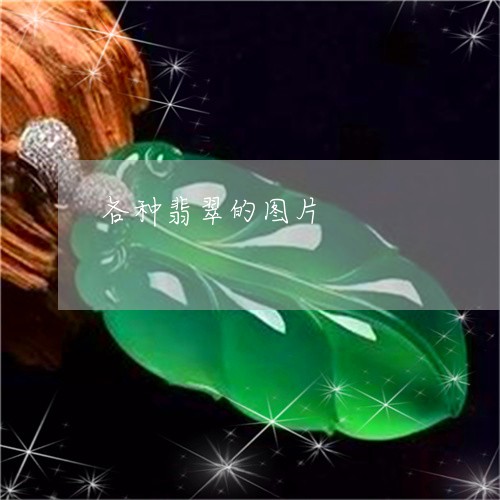 各种翡翠的图片/2023040495927 各种翡翠的图片/2023040495927