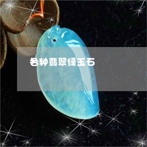 各种翡翠绿玉石/2023040439262 各种翡翠绿玉石/2023040439262