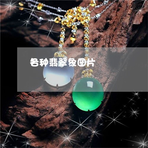 各种翡翠象图片/2023040462917 各种翡翠象图片/2023040462917