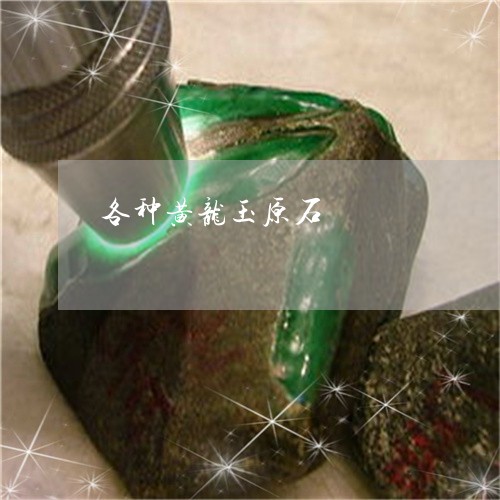 各种黄龙玉原石/2023040493948