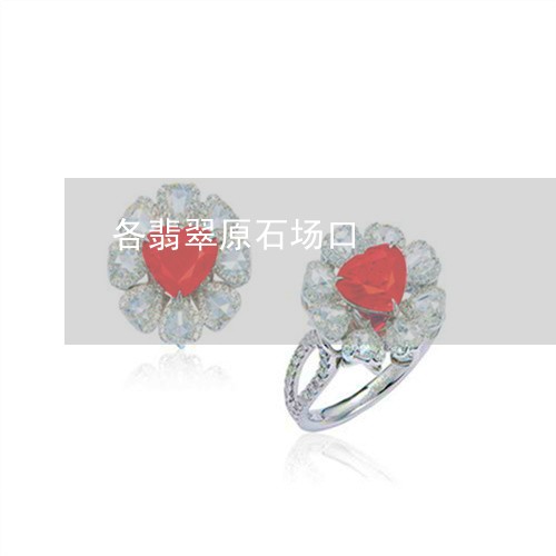 各翡翠原石场口/2023040496047 各翡翠原石场口/2023040496047