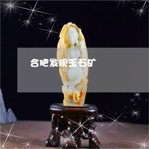 合肥发现玉石矿/2023040407949