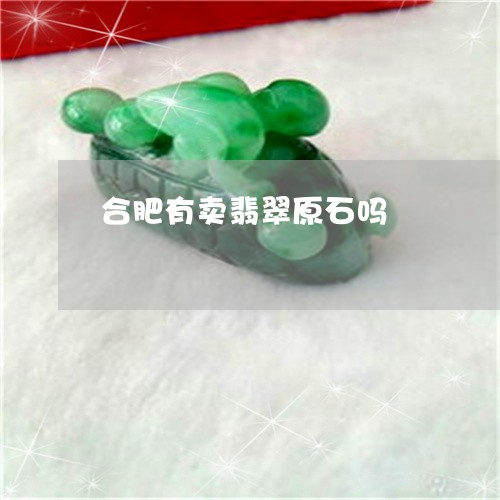 合肥有卖翡翠原石吗/2023042128695 合肥有卖翡翠原石吗/2023042128695