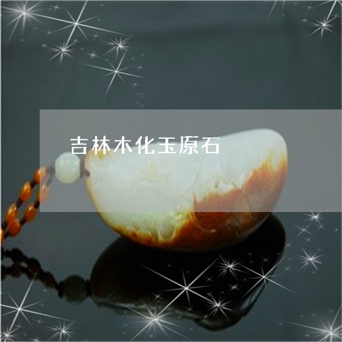 吉林木化玉原石/2023040463604