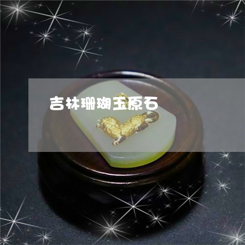 吉林珊瑚玉原石/2023040495947