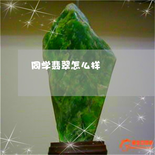 同学翡翠怎么样/2023040475914 同学翡翠怎么样/2023040475914