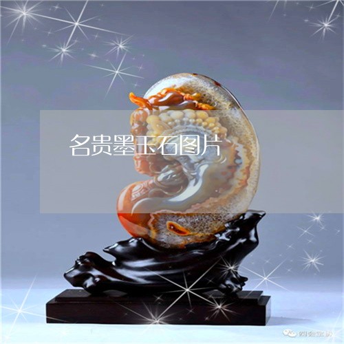 名贵墨玉石图片/2023040475049