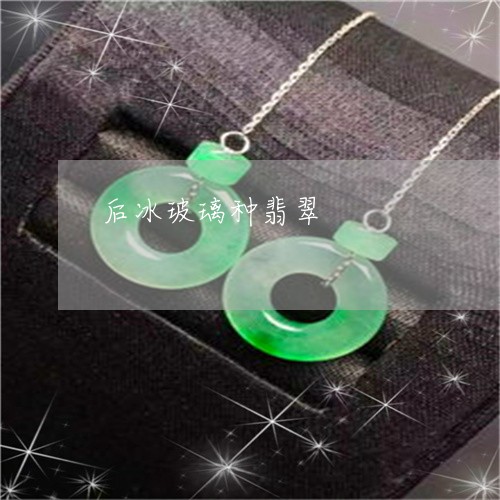 后冰玻璃种翡翠/2023040494948