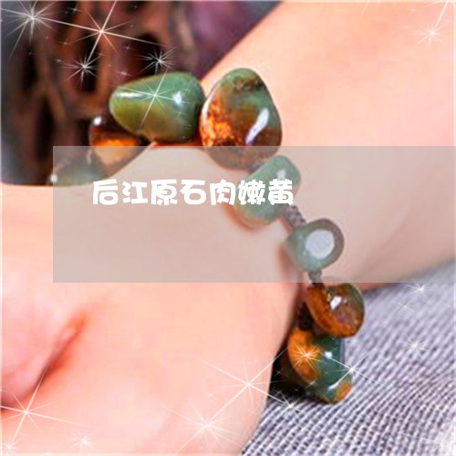 后江原石肉嫩黄/2023040485935