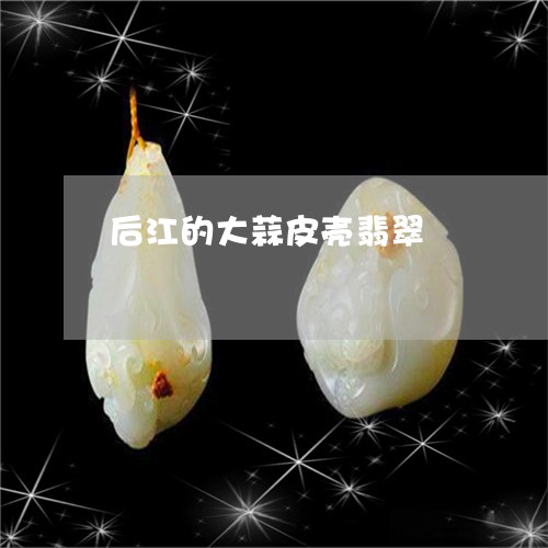 后江的大蒜皮壳翡翠/2023042293604 后江的大蒜皮壳翡翠/2023042293604