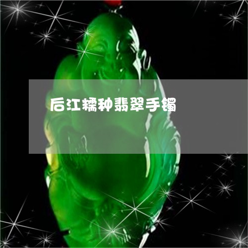 后江糯种翡翠手镯/2023013161502 后江糯种翡翠手镯/2023013161502
