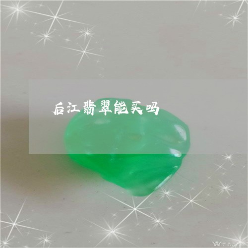 后江翡翠能买吗/2023040450302 后江翡翠能买吗/2023040450302
