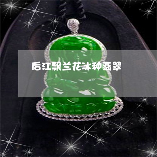 后江飘兰花冰种翡翠/2023042217582