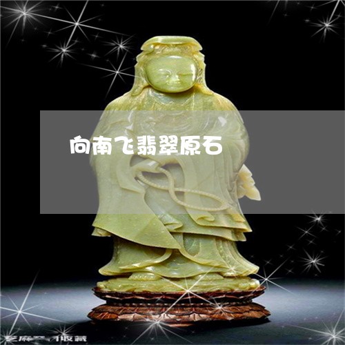 向南飞翡翠原石/2023040405249 向南飞翡翠原石/2023040405249