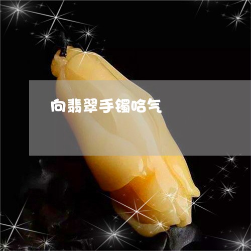 向翡翠手镯哈气/2023040497048 向翡翠手镯哈气/2023040497048